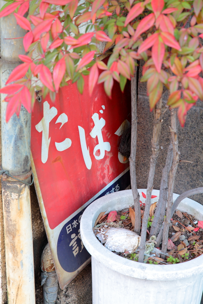 2025.01.13 成人の日散策