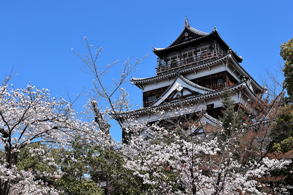 広島城址公園