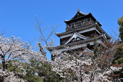 広島城址公園