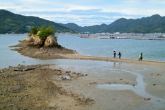 江田島気楽にサイクリング