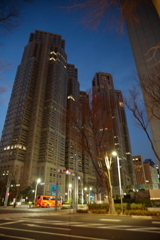 東京都庁
