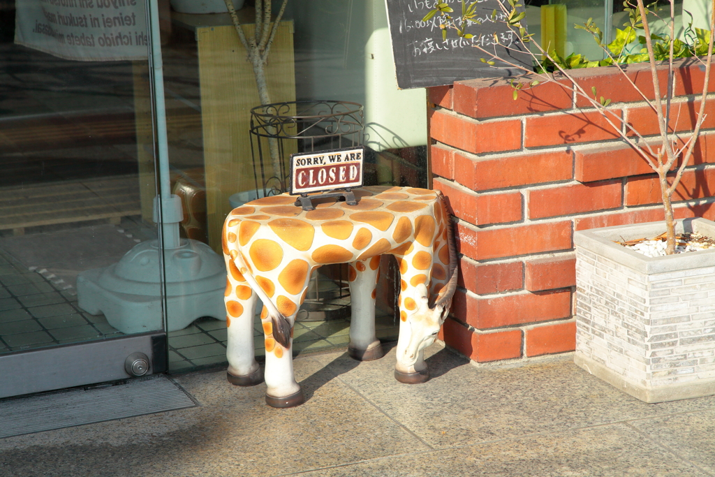 2025.01.13 成人の日散策