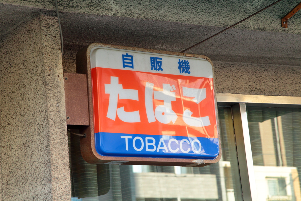 2025.01.13 成人の日散策