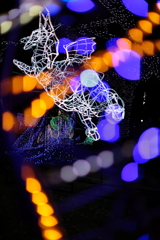 ドリミネーション広島