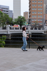 犬と川岸散歩