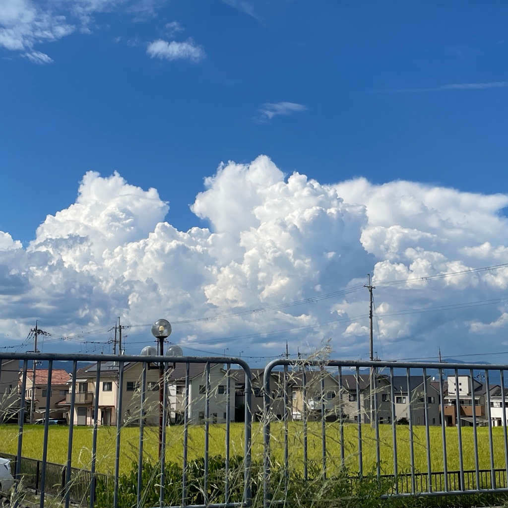 夏の空