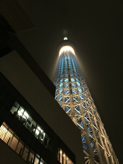 過去　スカイツリー