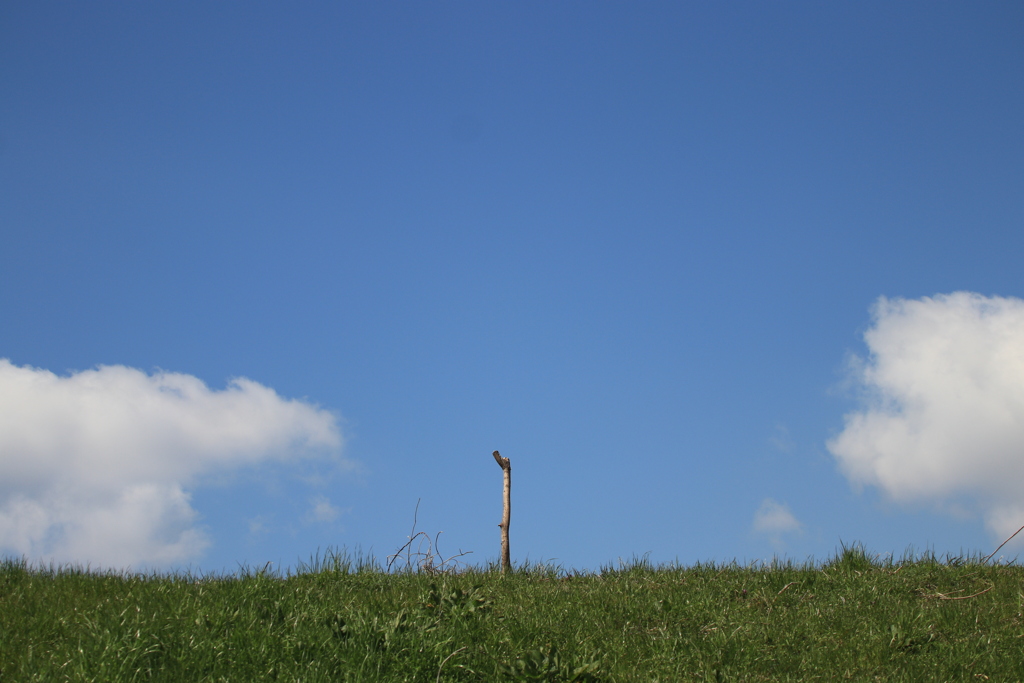 夏