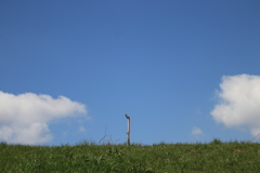 夏