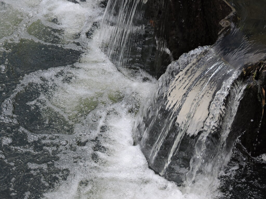 一級河川