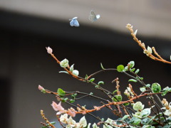 雨の合間