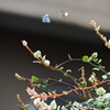 雨の合間