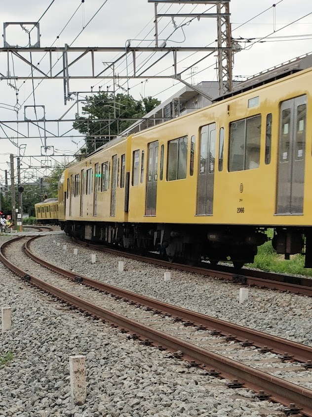 うねりが美しい