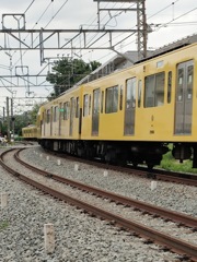うねりが美しい
