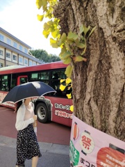 おまつり