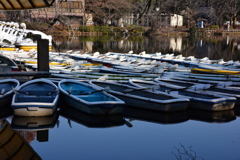井の頭公園