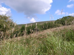 秋の気配