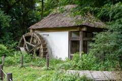 DSC00028