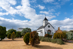 _DSC0902