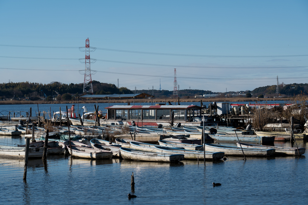 _DSC0802
