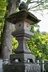 DSC00324