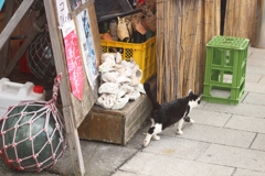 磯の香り