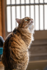 みかん、何かみつけた？