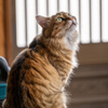 みかん、何かみつけた？