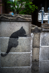 ブロック塀のねこ