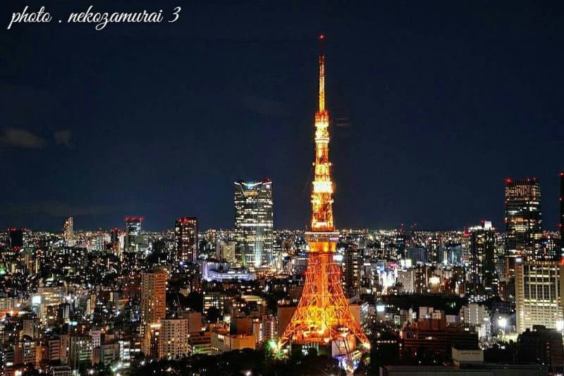 夜と東京タワー