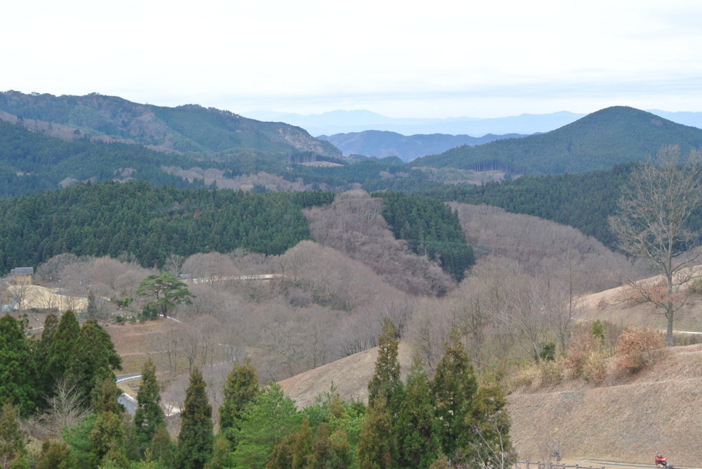 早春の風景