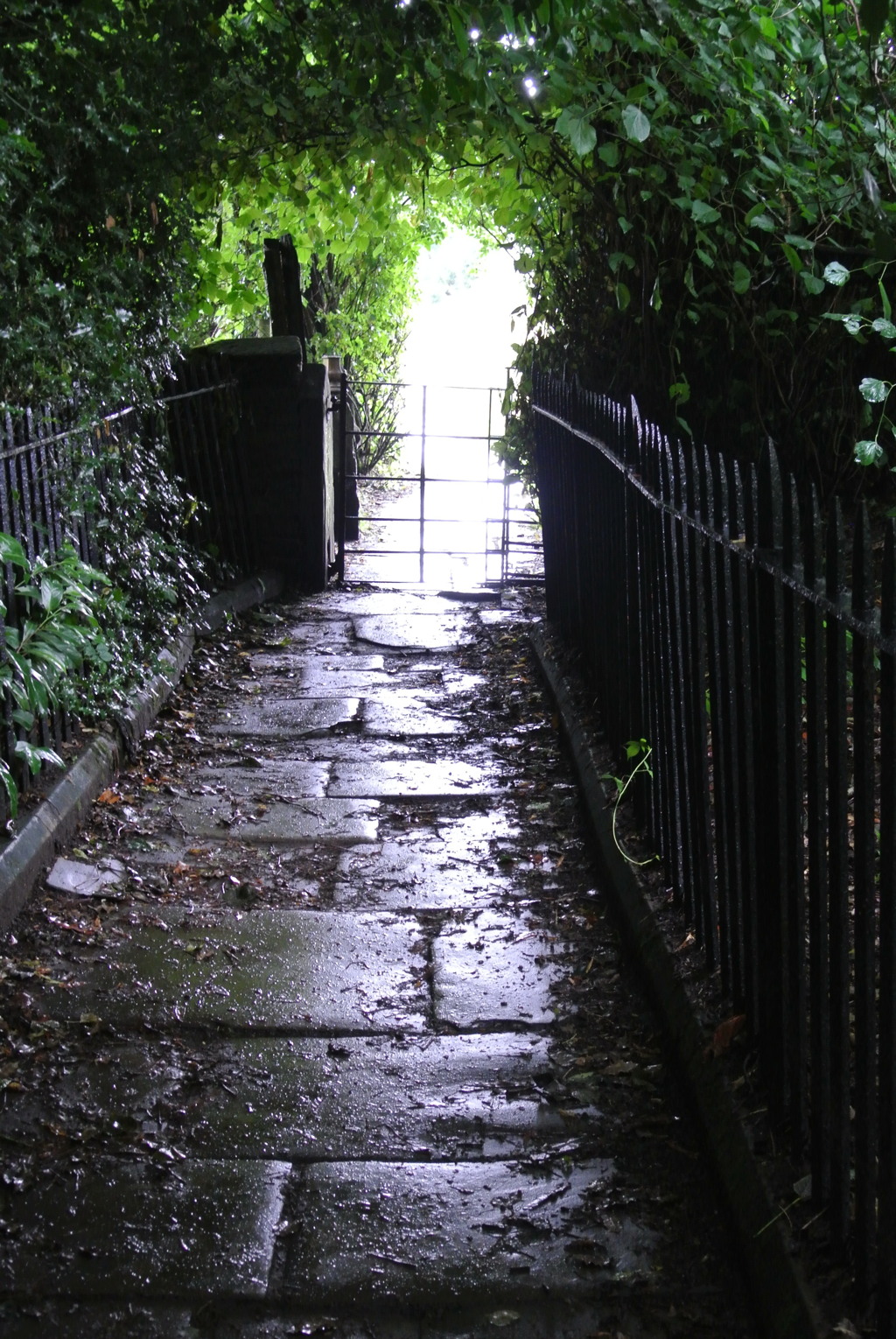 footpass
