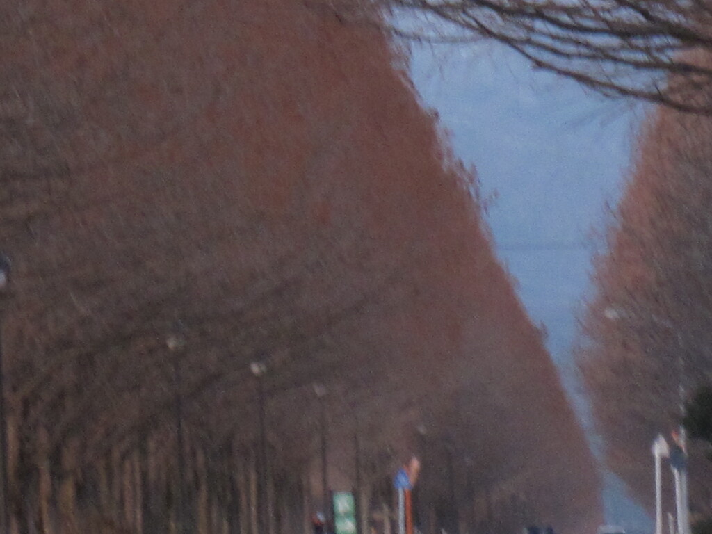 I並木幻想
