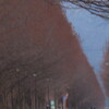 I並木幻想