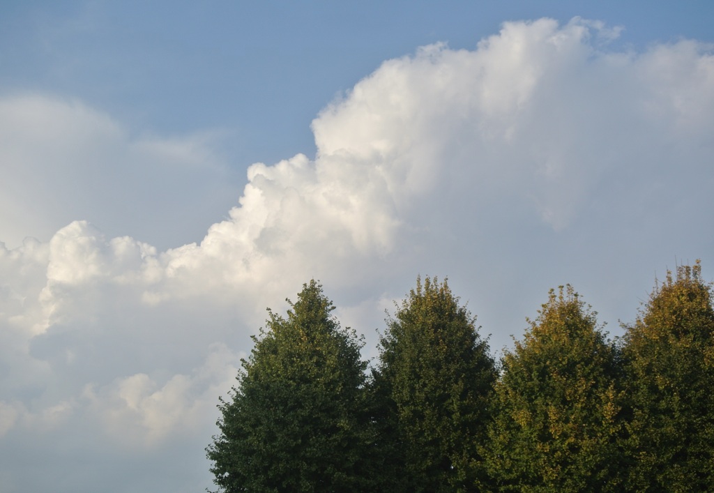 夏の雲