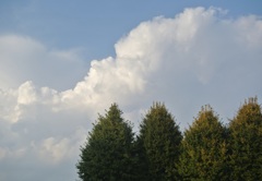夏の雲