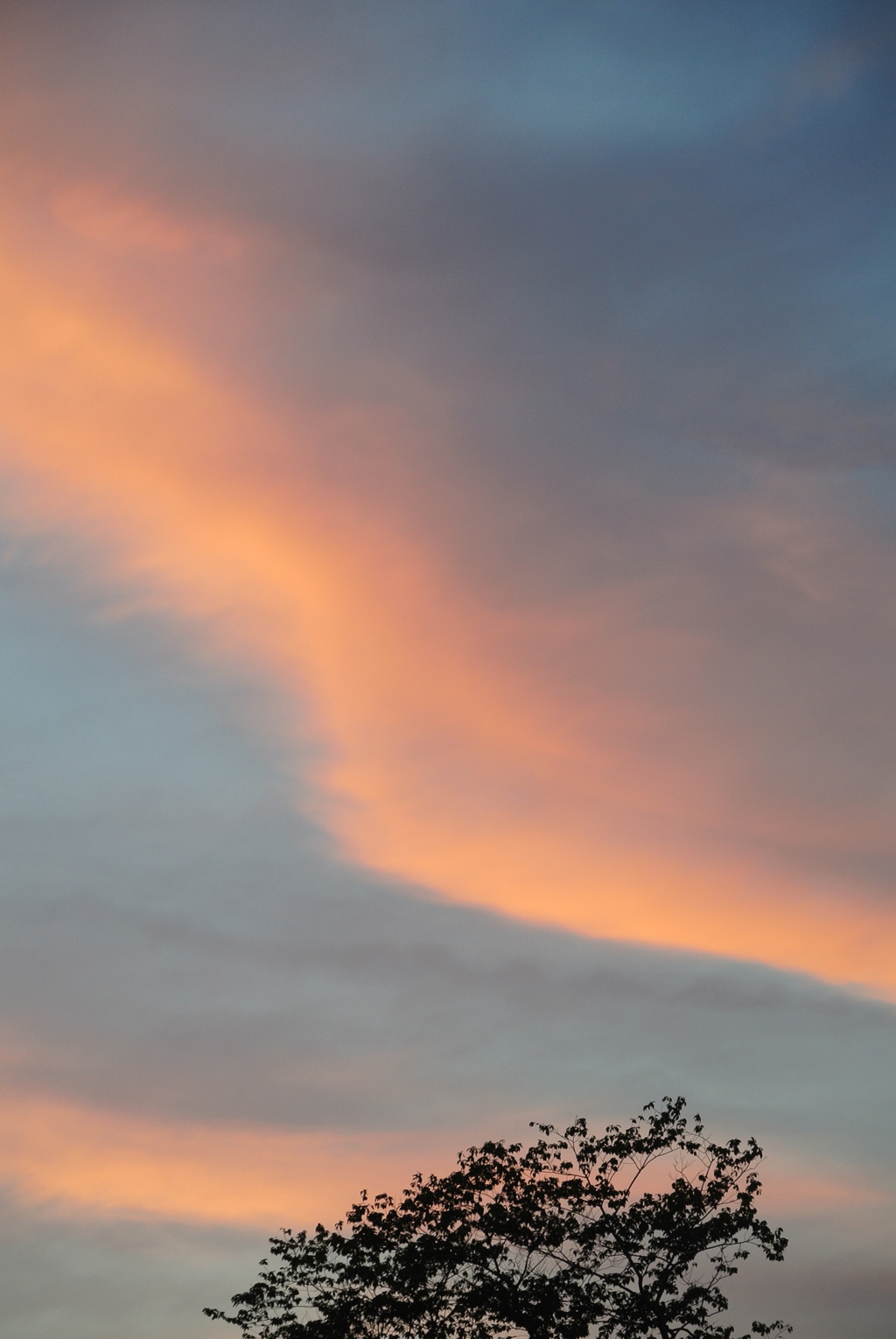 夕雲