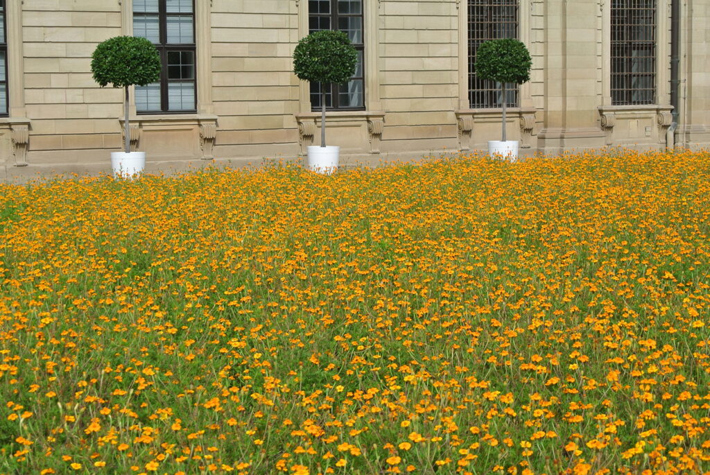 花の庭園