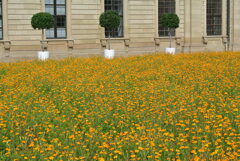 花の庭園