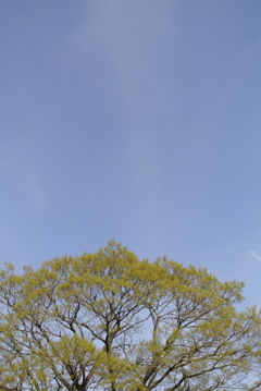 春空