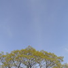 春空