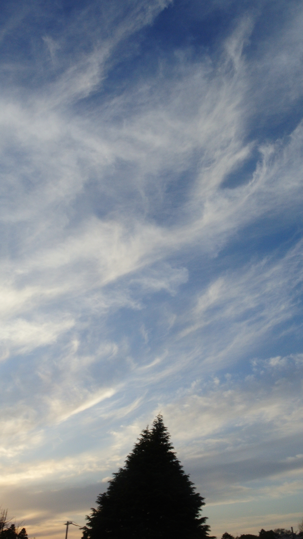 空騒ぐ