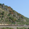 列車