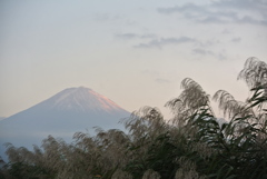 河口湖