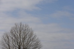 春空