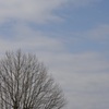 春空