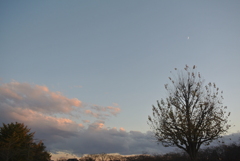 夕景