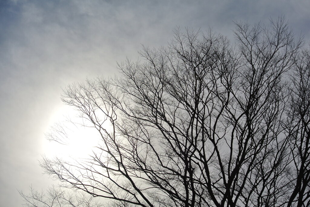 夕暮