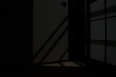 月明り