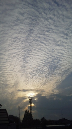 鱗雲